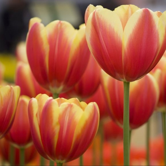 Come take a look - Picture 5 of 5